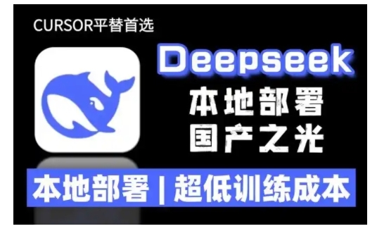 2025年deepseek R1 大型模型本地安装部署(文件+教程)本地部署，超低训练成本-小宇资源站