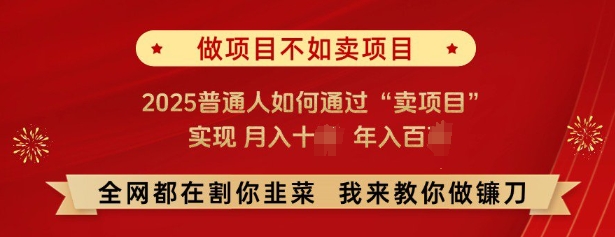 必看，做项目不如卖项目，2025普通人如何通过“卖项目”实现月入十个，年入百个-小宇资源站