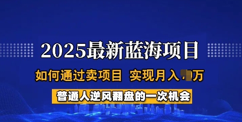 2025蓝海项目，普通人如何通过卖项目，实现月入过W，全过程【揭秘】-小宇资源站