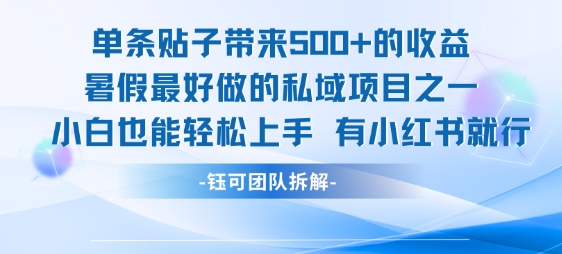 单条贴子带来5张的收益，暑假最好做的私域项目之一，小白也能轻松上手，有小红书就行-小宇资源站