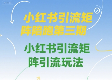 小红书引流矩阵陪跑第三期，小红书引流矩阵引流玩法-小宇资源站