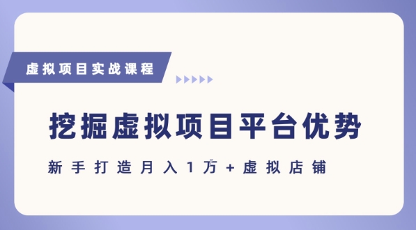 抓住虚拟项目各平台优势，新手轻松月入1W+(给出具体建议)-小宇资源站