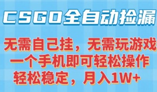 CSGO自动捡漏项目，最新独家玩法，一个手机可操作，新手小白轻松月入1W+，操作简单易上手【揭秘】-小宇资源站