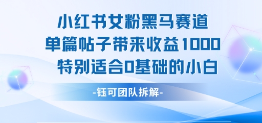 小红书女粉黑马赛道单篇帖子带来收益1k+，特别适合0基础的小白-小宇资源站