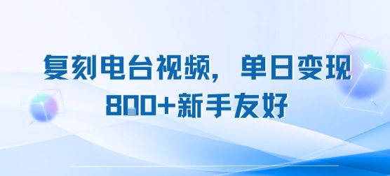 复刻电台视频，单日变现8张+新手友好，长期可做-小宇资源站