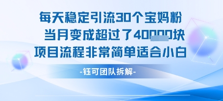 每天稳定引流30个人 当月变成超过了4个W项目流程非常简单适合小白-小宇资源站