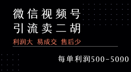 视频号卖二胡教程，利润大 易成交 售后少，一单利润5张+-小宇资源站