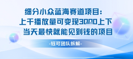 小众蓝海赛道项目：当天变现1k+适合新手操作 +适合长期玩-小宇资源站