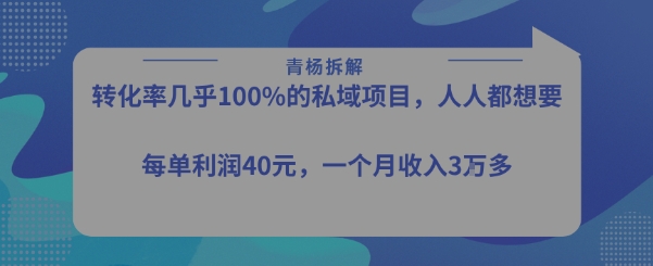 转化率最高的私域项目，每单利润40-50米，月入过1w-小宇资源站