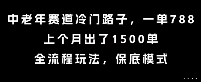 中老年赛道冷门路子，一单788，上个月出了1500单，全流程玩法，保底模式【揭秘】-小宇资源站