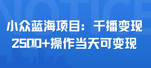 小众蓝海项目，千播变现2.5k+操作当天可变现-小宇资源站