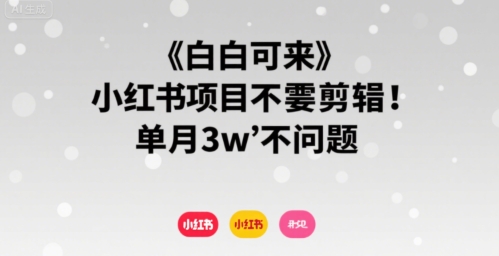 小白可来 小红书项目不需要剪辑 单月3w不是问题-小宇资源站