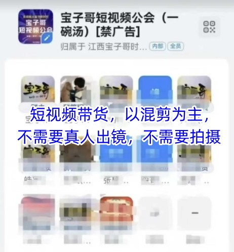 宝子哥头部团队短视频带货，以混剪为主，不需要真人出镜，不需要拍摄【更新8月】-小宇资源站