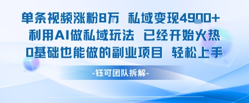 单条视频私域变现4.9k+利用AI做私域玩法 已经开始火热0基础也能做的副业项目轻松上手-小宇资源站