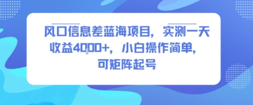 风口信息差蓝海项目，实测一天收益4k+，小白操作简单，可矩阵起号-小宇资源站