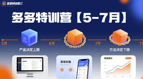 多多特训营【5-7月】产品决定上限，方法决定下限，各种玩法技巧落地实操-小宇资源站