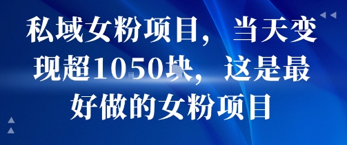 私域女粉项目，当天变现超1k，这是最好做的女粉项目，可放大操作-小宇资源站