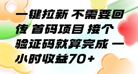 一键拉新 不需要回传 首码项目 接个验证码就算完成 一小时收益70+【揭秘】-小宇资源站