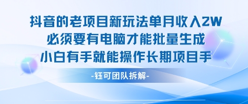 老项目新玩法单月收入2W小白有手就能操作长期项目-小宇资源站