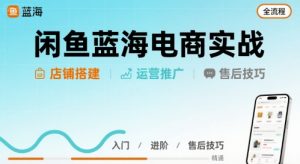 闲鱼蓝海电商实战,店铺搭建运营售后全流程-小宇资源站