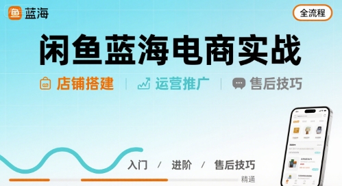 闲鱼蓝海电商实战，店铺搭建运营售后全流程-小宇资源站