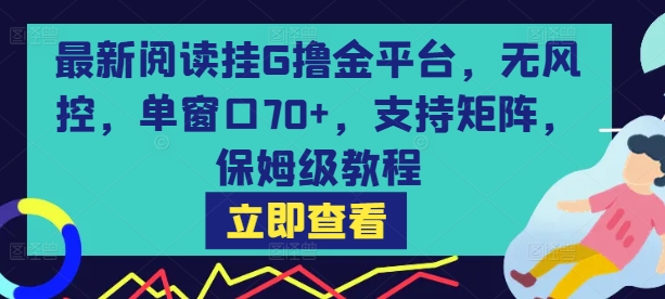 最新阅读挂G撸金平台，无风控，单窗口70+，支持矩阵，保姆级教程【揭秘】-小宇资源站