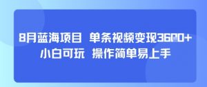 8月AI蓝海项目，单条视频变现1k+ 小白可玩 操作简单易上手-小宇资源站