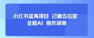 小红书蓝海项目，全程AI，操作简单，已挣五位数-小宇资源站