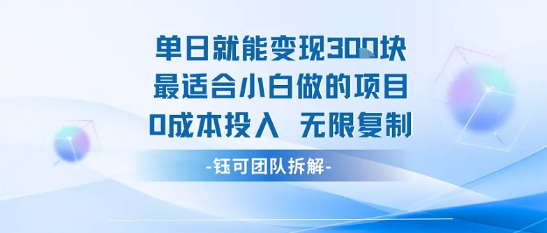 单日就能变现3张最适合小白做的项目0成本投入 无限复制-小宇资源站