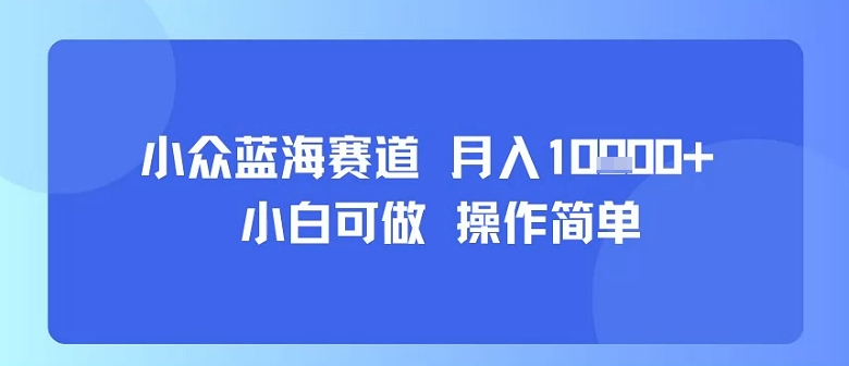 小众蓝海赛道，小白可做，操作简单，每天30分钟，月入1W+-小宇资源站