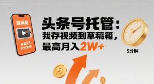 【头条号托管 】我存视频到草稿箱，你每天5分钟发布，最高月入2W+【揭秘】-小宇资源站