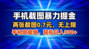 手机截图暴力掘金，两张截图0.7米，一部手机就能做，轻松日入3张+【揭秘】-小宇资源站