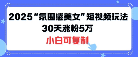 不露脸也能火！2025“氛围感美女”短视频玩法，30天涨粉5W小白可复制-小宇资源站