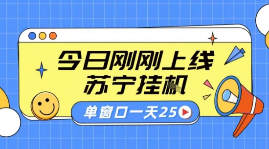 苏宁全自动采集挂G项目 稳定可批量 单窗口收益30+ 附教程【揭秘】-小宇资源站