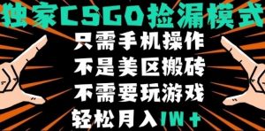 CSGO自动捡漏项目，最新独家玩法，不是美区搬砖，不需要了解和玩游戏，新手小白轻松月入1W+【揭秘】-小宇资源站