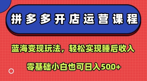 拼多多开店运营课程：蓝海变现玩法，轻松实现睡后收入，零基础小白也可日入5张-小宇资源站