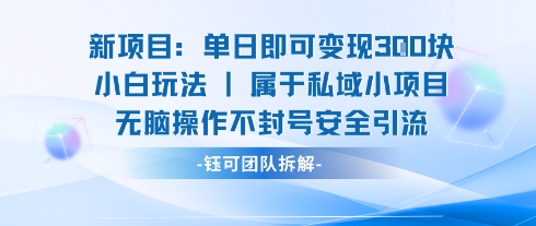 新项目单日即可变现3张的小白玩法无脑操作不封号安全引流-小宇资源站