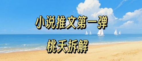 小说推文项目操作全流程第一弹，0粉就能做，门槛低非常适合新手-小宇资源站