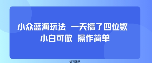 小众蓝海玩法 一天搞了四位数 小白可做 操作简单-小宇资源站