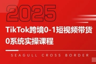 TikTok跨境0-1短视频带货，系统拆解TikTok跨境带货全链路，实现跨境可持续盈利-小宇资源站