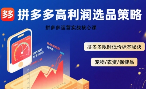 拼多多选品暴利技术实战课，拼多多高利润选品策略，拼多多限时低价标签秘诀-小宇资源站