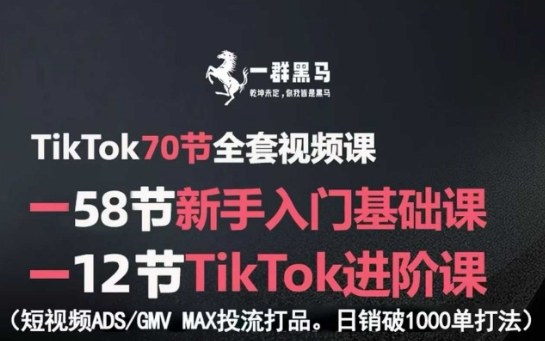 TikTok全套视频课，新手入门+进阶课，短视频ADS-GMV MAX投流打品，日销破1000单打法-小宇资源站