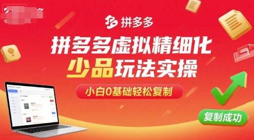 拼多多虚拟精细化少品玩法实操，小白0基础轻松复制-小宇资源站