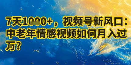 7天收益1k+，视频号新风口：中老年情感视频如何月入过W?-小宇资源站