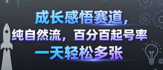 成长感悟赛道，纯自然流，百分百起号率 一天轻松多张-小宇资源站
