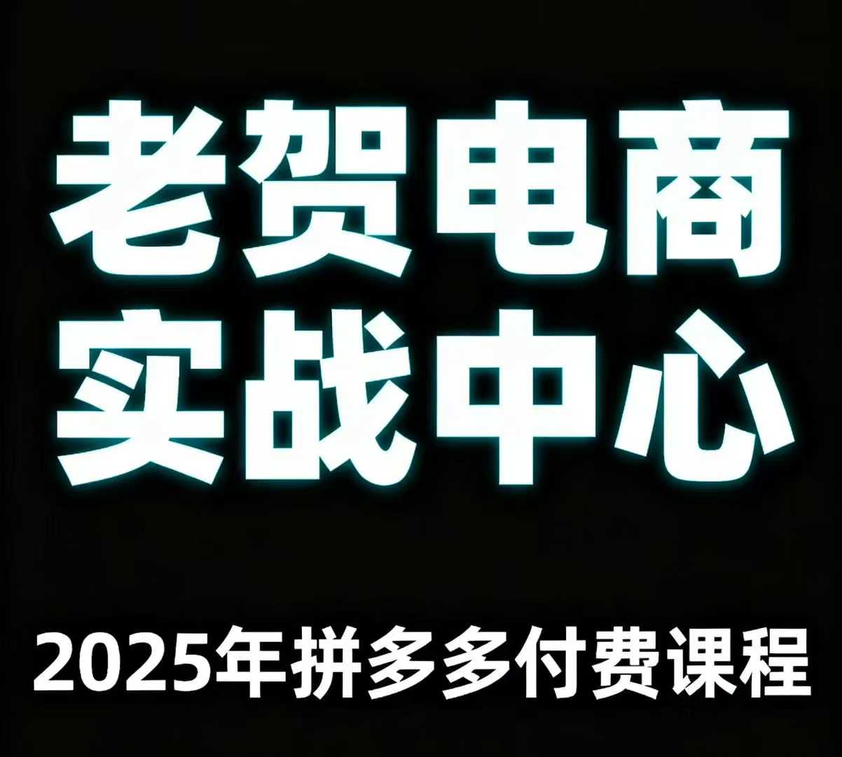 老贺电商2025年拼多多付费课程，用通俗易懂的方法告诉你多多怎么玩-小宇资源站