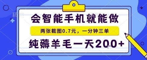 手机项目，二十秒一单，纯薅羊毛一天2张+做就有【揭秘】-小宇资源站