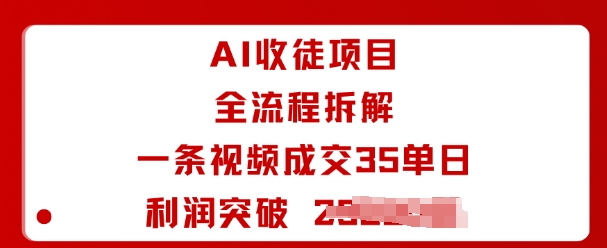 AI收徒项目全流程拆解一条视频成交35单日利润突破1k+-小宇资源站