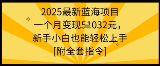 2025最新蓝海项目一个月变现1w+新手小白也能轻松上手【附全套指令】-小宇资源站