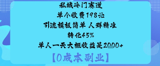 私域冷门赛道:单个收费198米引流模板简单人群精准转化45%单人一天大概收益是1k+-小宇资源站